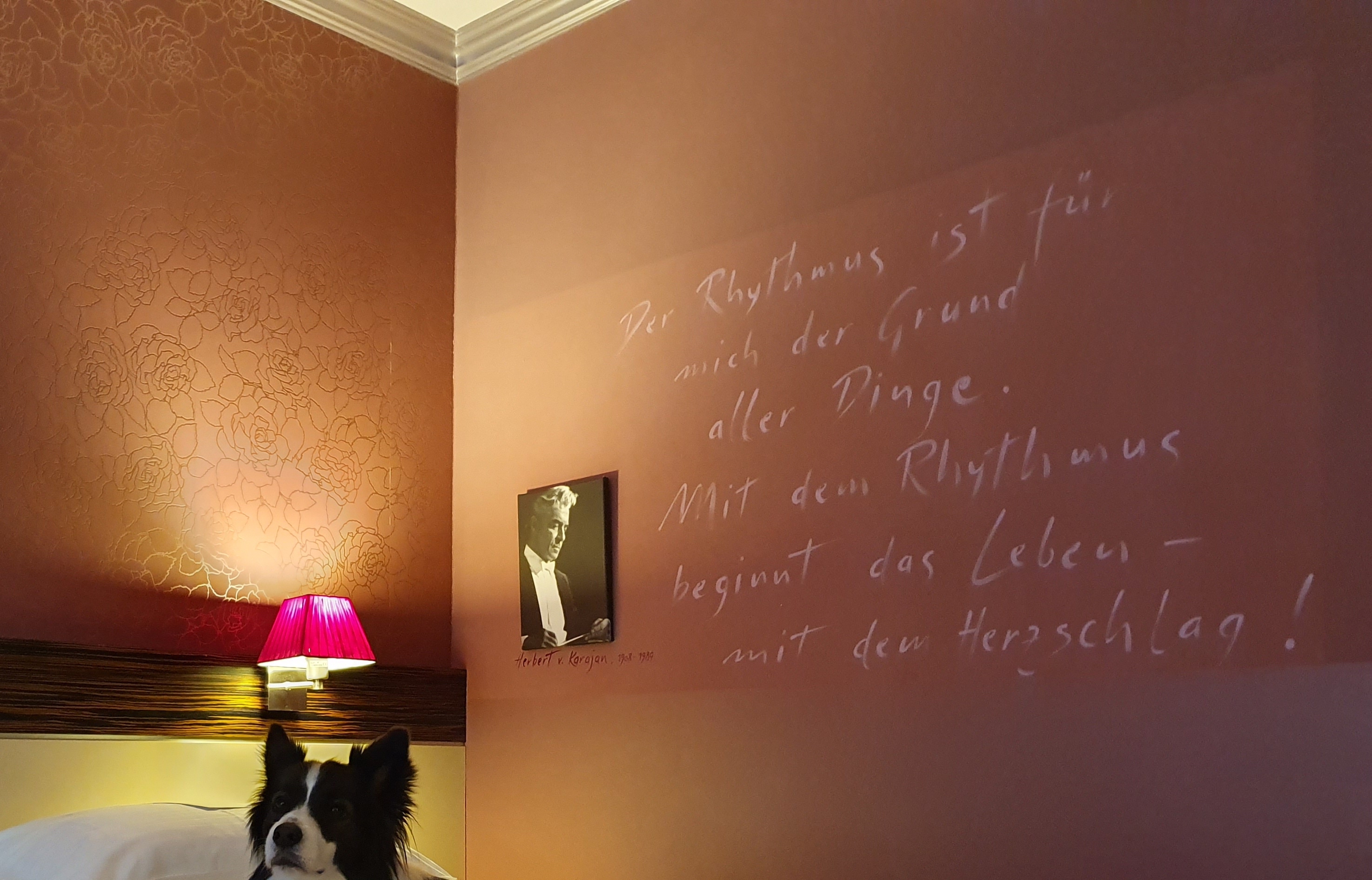 Dogfriendly Check: Hundefreundliches Hotel in Wien (2. Bezirk, Praterstern)