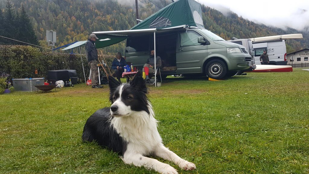 Let's Dog Geheimtipp für Urlaub mit Hund in Österreich