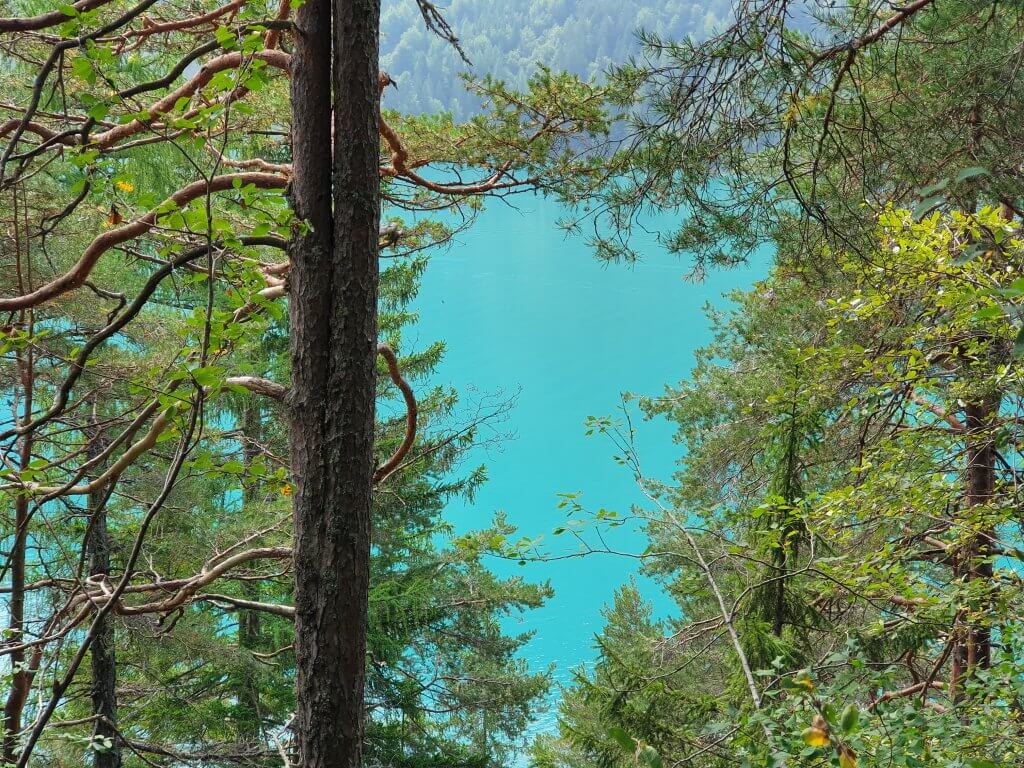 Let's Dog Geheimtipp für Urlaub mit Hund in Österreich