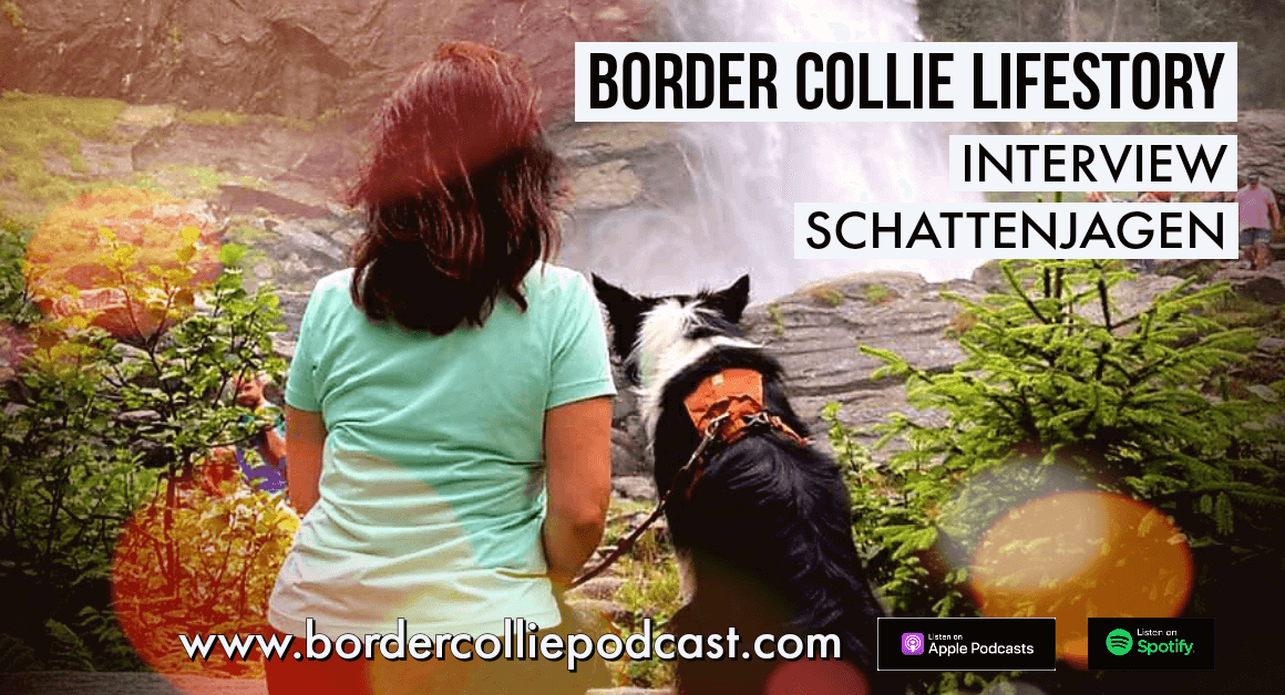 Der Schatten jagende Border Collie – LIFESTORY INTERVIEW