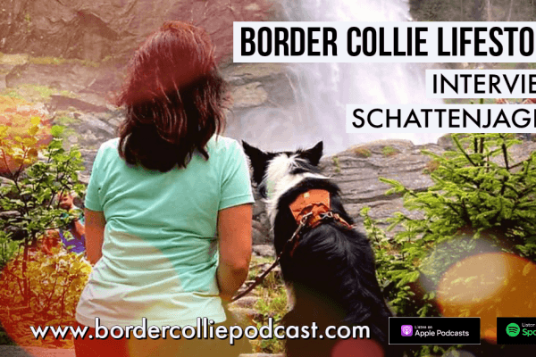 Der Schatten jagende Border Collie – LIFESTORY INTERVIEW
