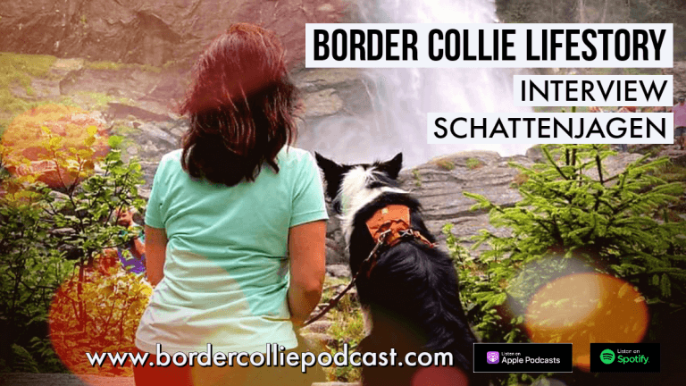 Der Schatten jagende Border Collie - LIFESTORY INTERVIEW