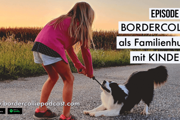 Der Border Collie als Familienhund mit Kindern – Podcast Episode 009 online