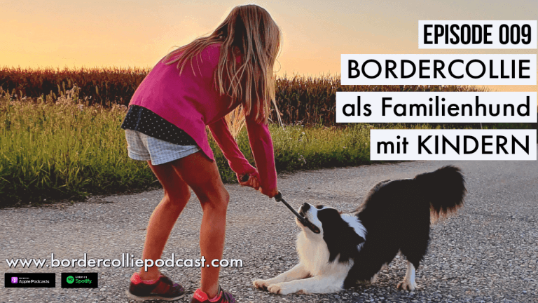 Der Border Collie als Familienhund mit Kindern - Podcast Episode 009 online