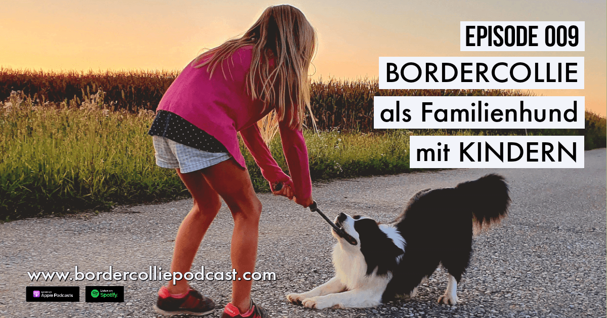 Der Border Collie als Familienhund mit Kindern - Podcast Episode 009 online