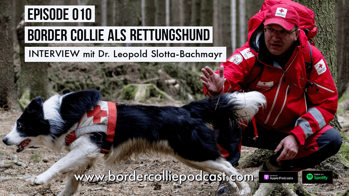 Der Border Collie als Rettungshund - Podcast Interview