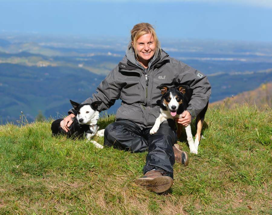 Die Border Collie Arbeitslinie - PODCAST Interview