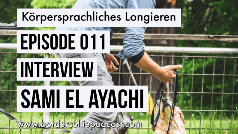 Interview SAMI EL AYACHI - Podcast Episode 011