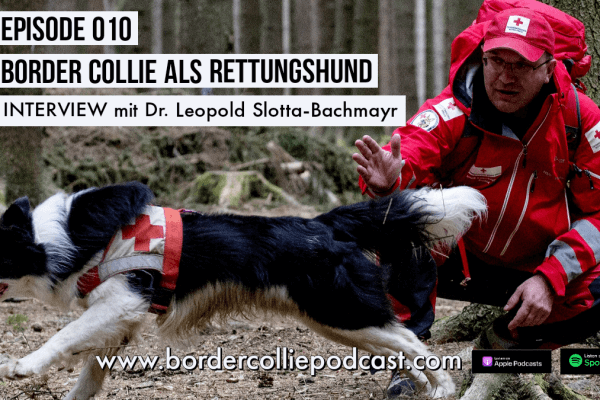 Der Border Collie als Rettungshund – Podcast Interview