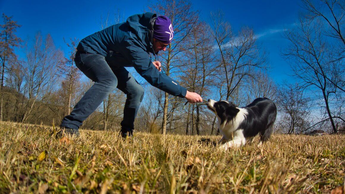 Kommunikation Mensch – Hund