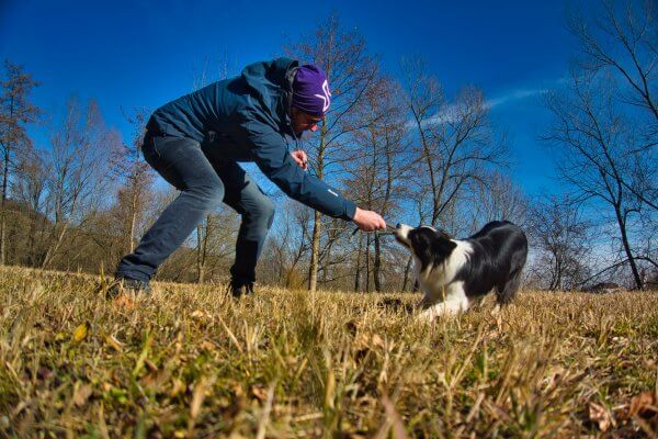 Kommunikation Mensch – Hund