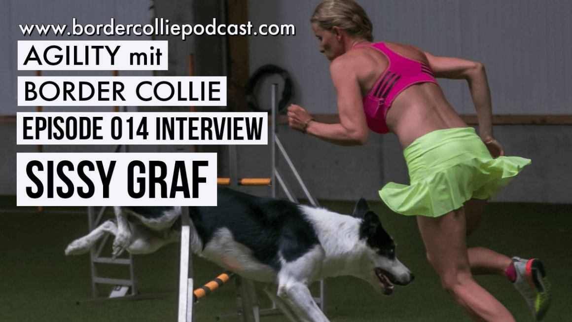 Agility mit Border Collie – Interview mit Sissy Graf – Podcast Episode 014