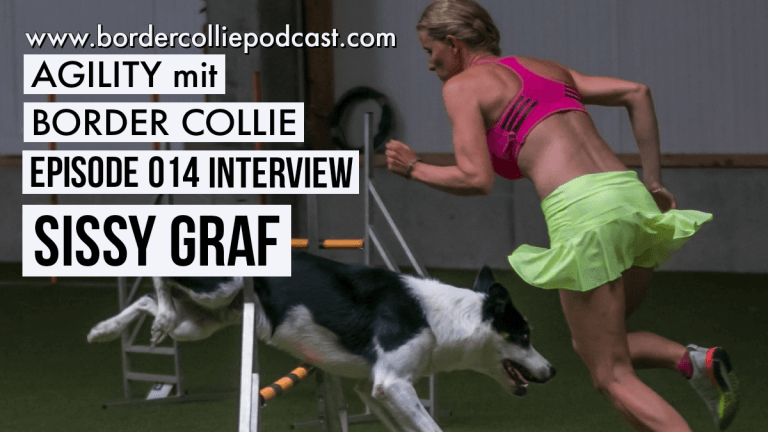Agility mit Border Collie - Interview mit Sissy Graf - Podcast Episode 014
